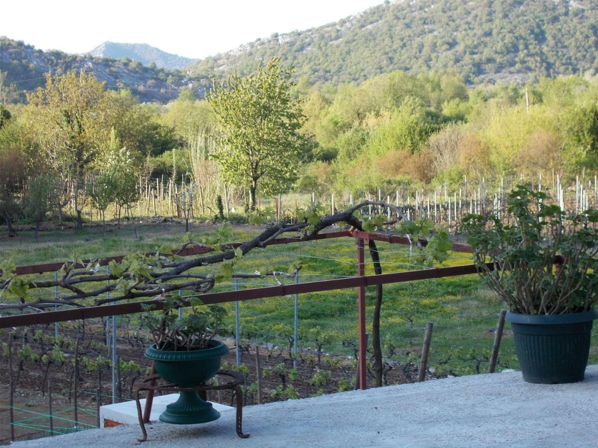 Guesthouse Feel Lake Virpazar Exterior foto
